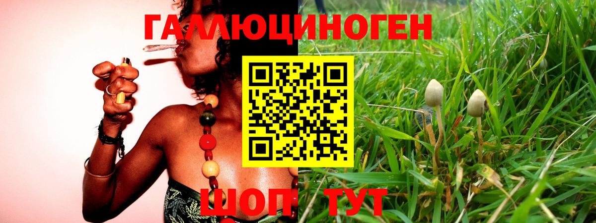Псилоцибиновые грибы MAGIC MUSHROOMS  Вход с VPN  Качканар 